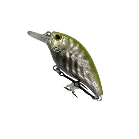 Text